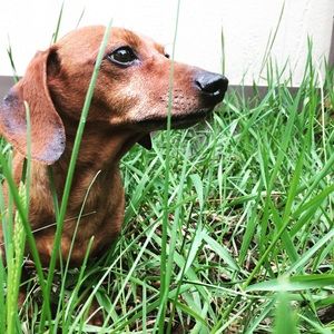 Meet your Posher, Joann